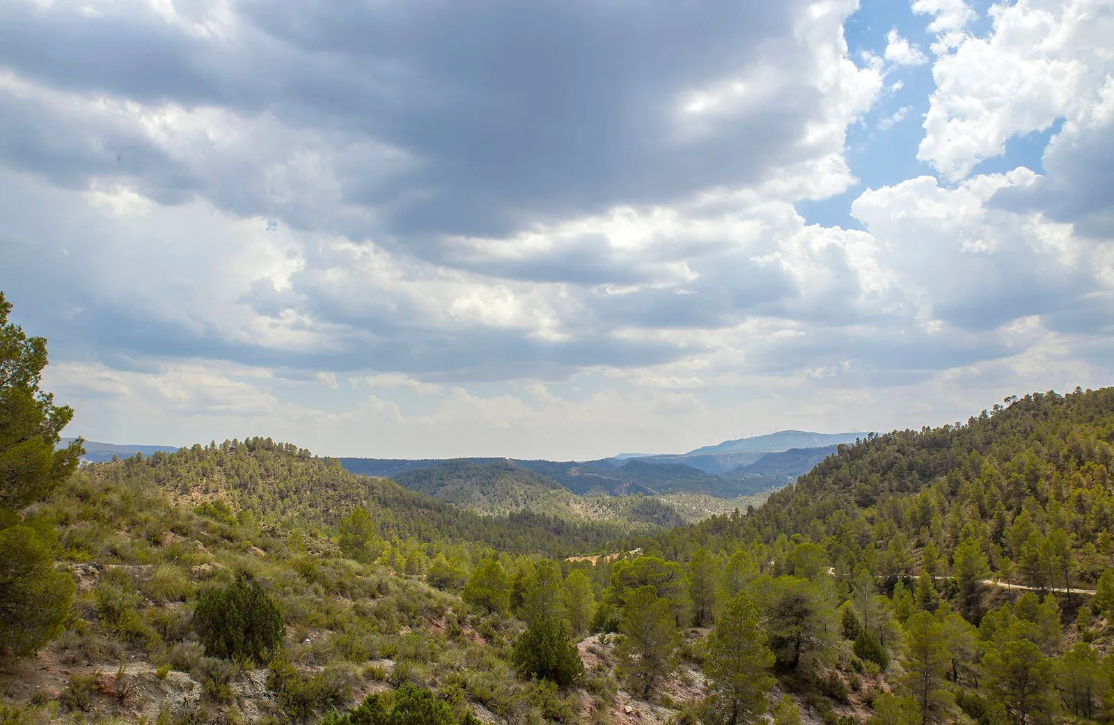 El valle de Ayora-Cofrentes