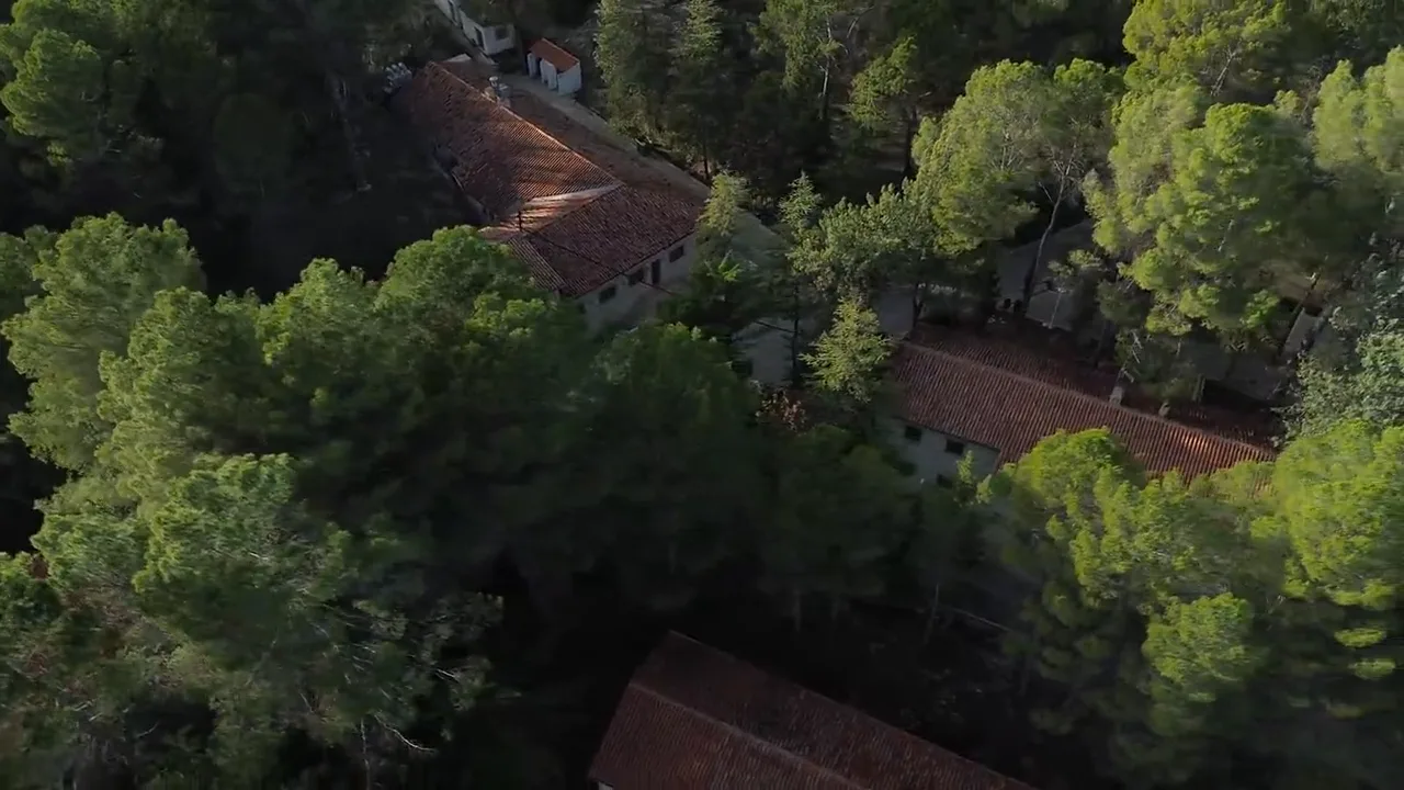 Vista aérea del poblado de Confluent entre pinos